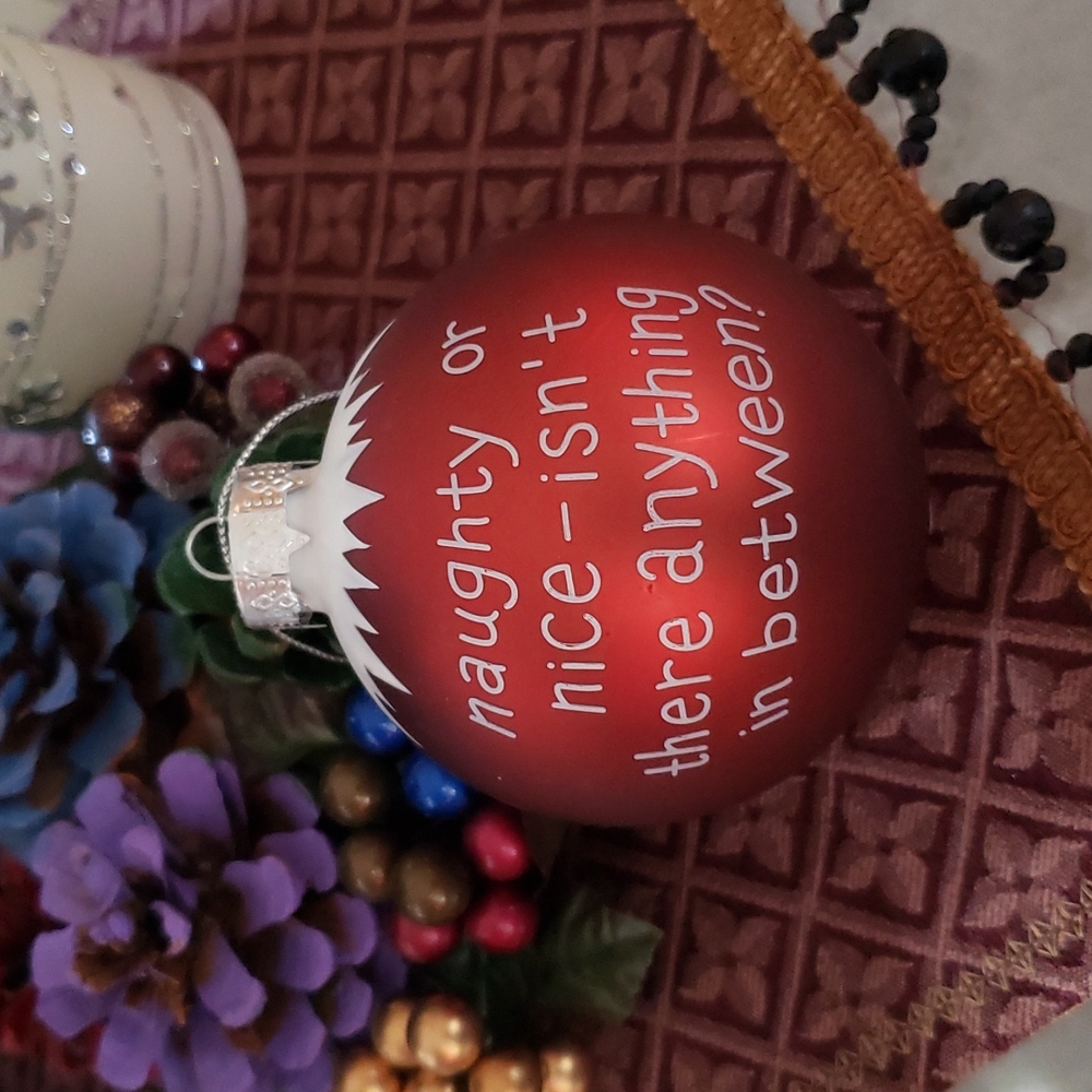 3/$15 Naughty of Nice Christmas Ornament